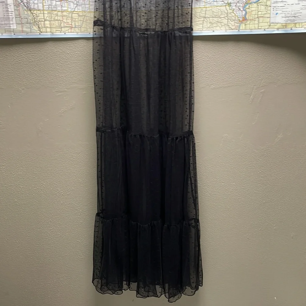 Hot Topic vintage Mesh Maxi Dress - Picture 4 of 10